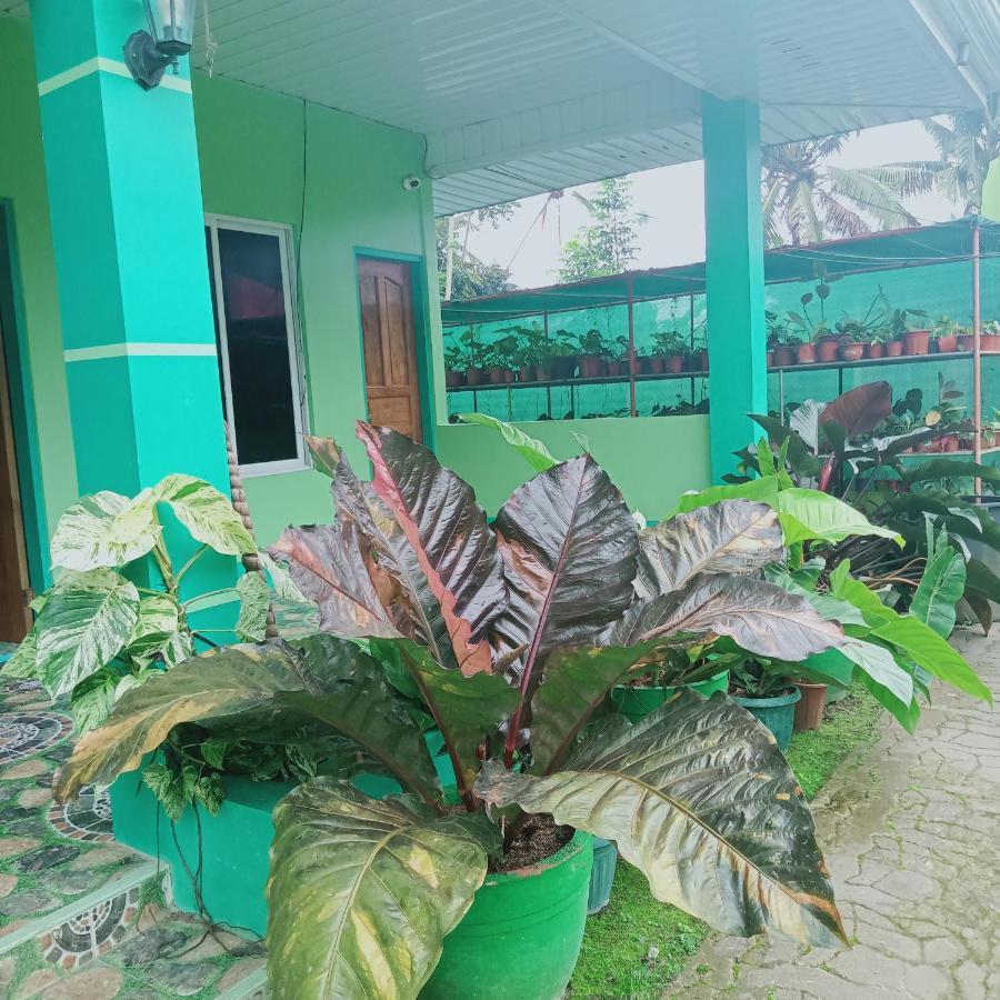 Barril Green Homestay Batuan Exterior foto